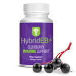 HybridEB+ Complete Elderberry Daily Immune Support