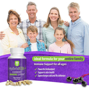 HybridEB+ for family