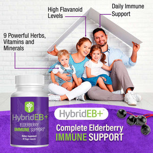 HybridEB+ for complete elderberry immune support