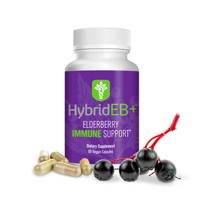 
            
                Load image into Gallery viewer, HybridEB+ Elderberry Immune Support
            
        