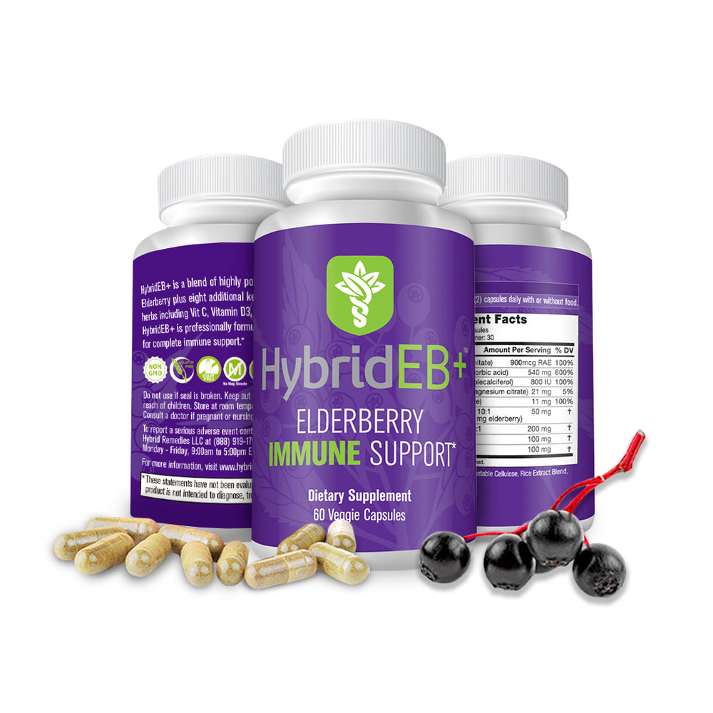 
            
                Load image into Gallery viewer, HybridEB+ Elderberry Immune Support
            
        